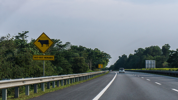 The construction of the N. Kawnpui (N. Maulvum)-Sairang portion of the 4-lane road on NH6, which runs along the Silchar-Valrengte-Sairang road.